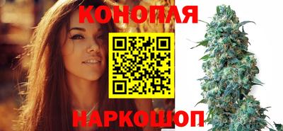 соль ск Лесосибирск