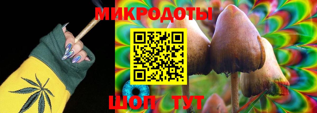 Южно-Сахалинск  Псилоцибиновые грибы MAGIC MUSHROOMS  Вход с VPN 